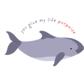 LifePorpoise
