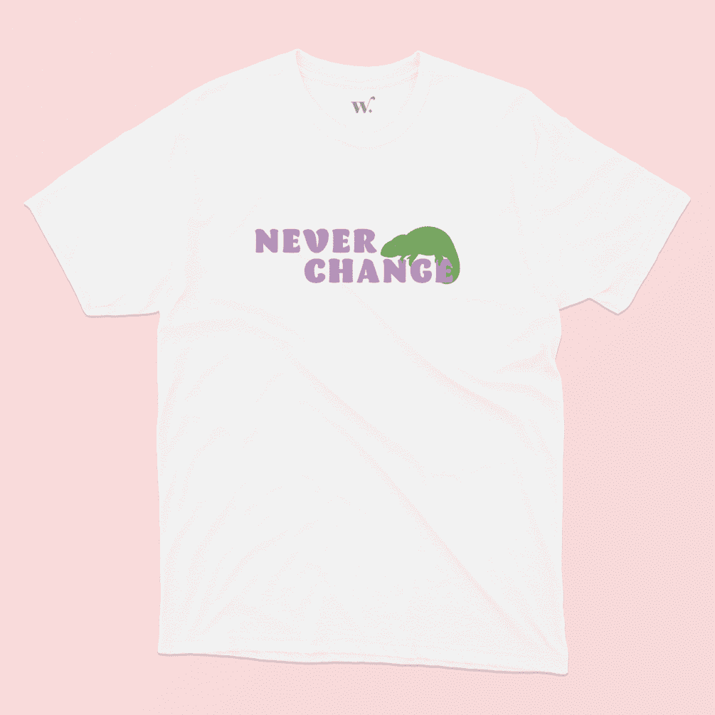 Never Change Illustrated t-shirt in White with a Pink background